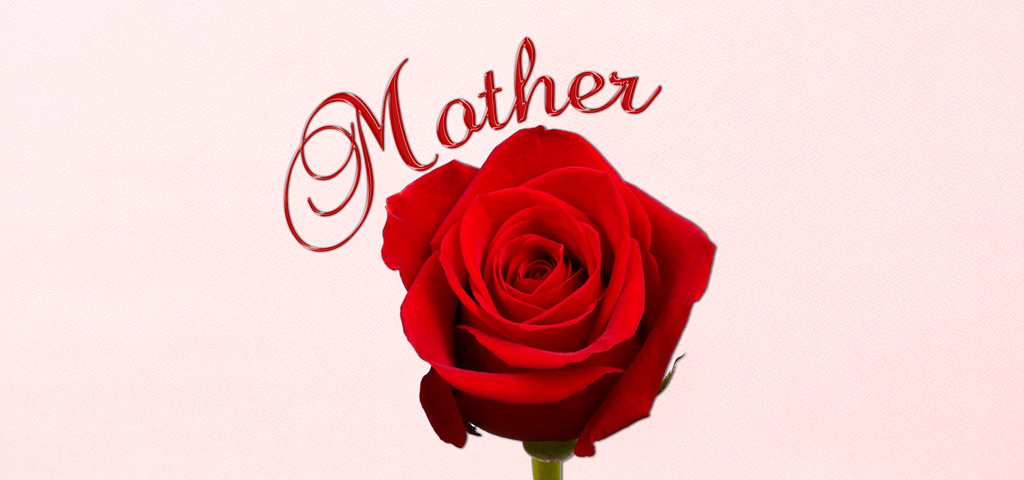 Pink Faux Red Rose Mother PROOF